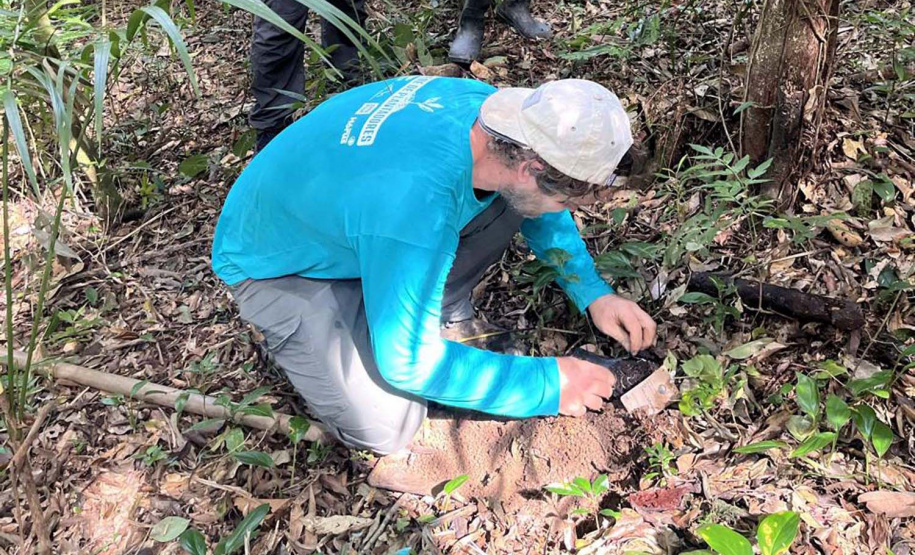 Portos do Paraná encerra outubro com atividades socioambientais no litoral do Estado