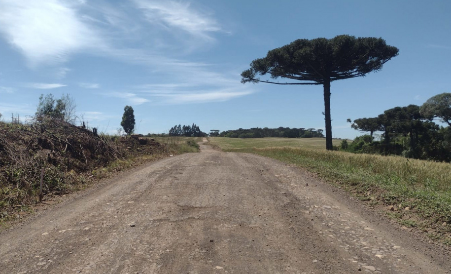 PR-459 Clevelândia a Mangueirinha Rodovia entre Clevelândia e Mangueirinha terá investimentos de R$ 8,1 mi em conservação