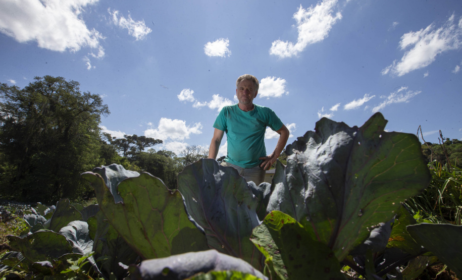 O produtor rural Luiz Claudio Ravaglio da Rocha, de São José dos Pinhais, foi um dos beneficiados com o programa municipal de certificação de orgânicos, que tem a parceria do Tecpar.