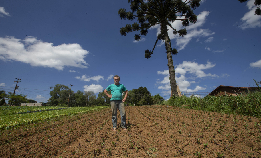 O produtor rural Luiz Claudio Ravaglio da Rocha, de São José dos Pinhais, foi um dos beneficiados com o programa municipal de certificação de orgânicos, que tem a parceria do Tecpar.