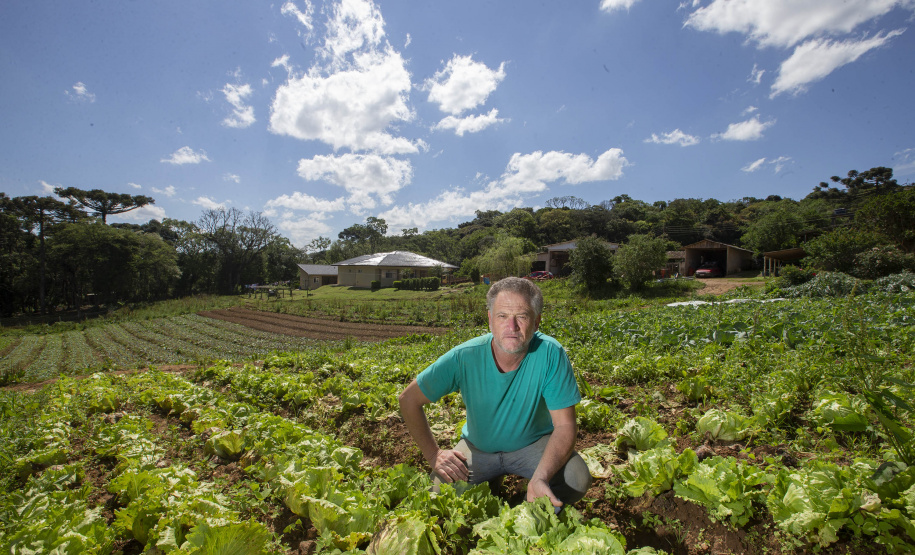 O produtor rural Luiz Claudio Ravaglio da Rocha, de São José dos Pinhais, foi um dos beneficiados com o programa municipal de certificação de orgânicos, que tem a parceria do Tecpar.