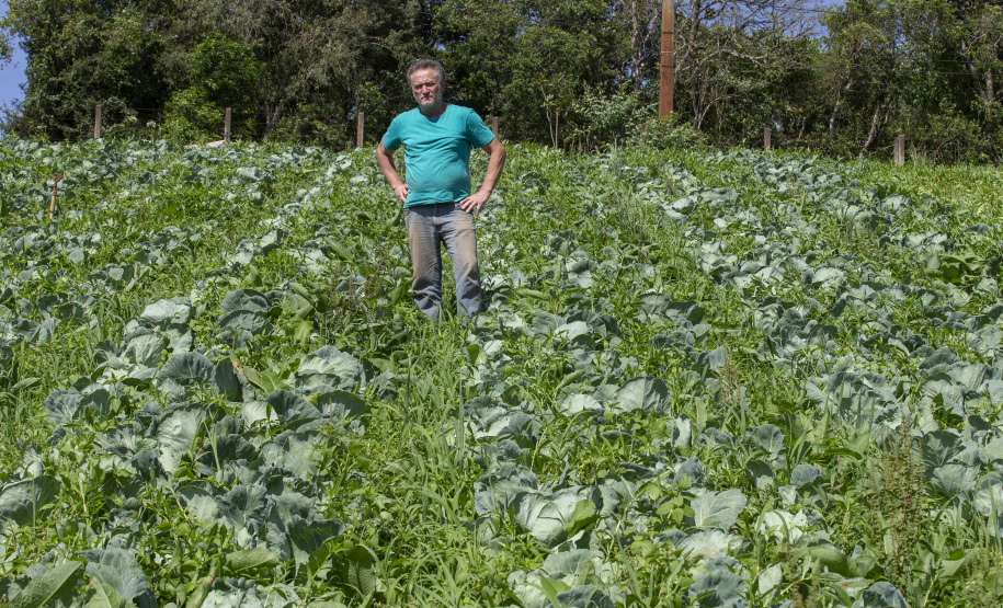 O produtor rural Luiz Claudio Ravaglio da Rocha, de São José dos Pinhais, foi um dos beneficiados com o programa municipal de certificação de orgânicos, que tem a parceria do Tecpar.