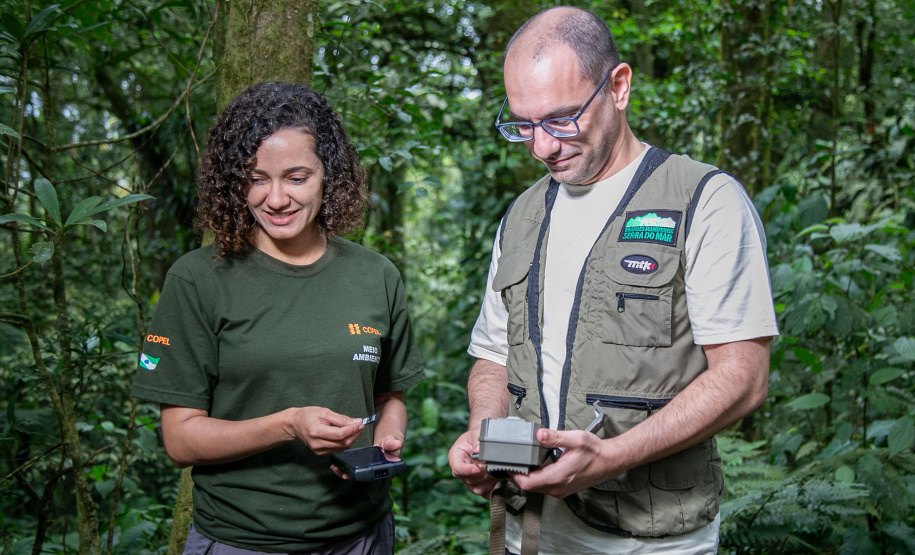 Áreas preservadas pela Copel são refúgio para reprodução de grandes mamíferos ameaçados