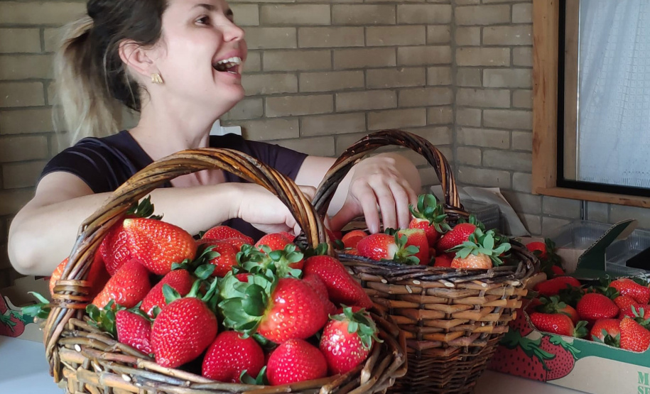 Treino visita para o cultivo de morango dá bons resultados na Região Metropolitana de Curitiba