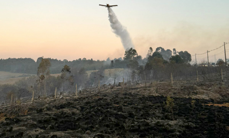 Incêndios florestais no Paraná caem 57% entre a primeira quinzena de setembro e outubro
