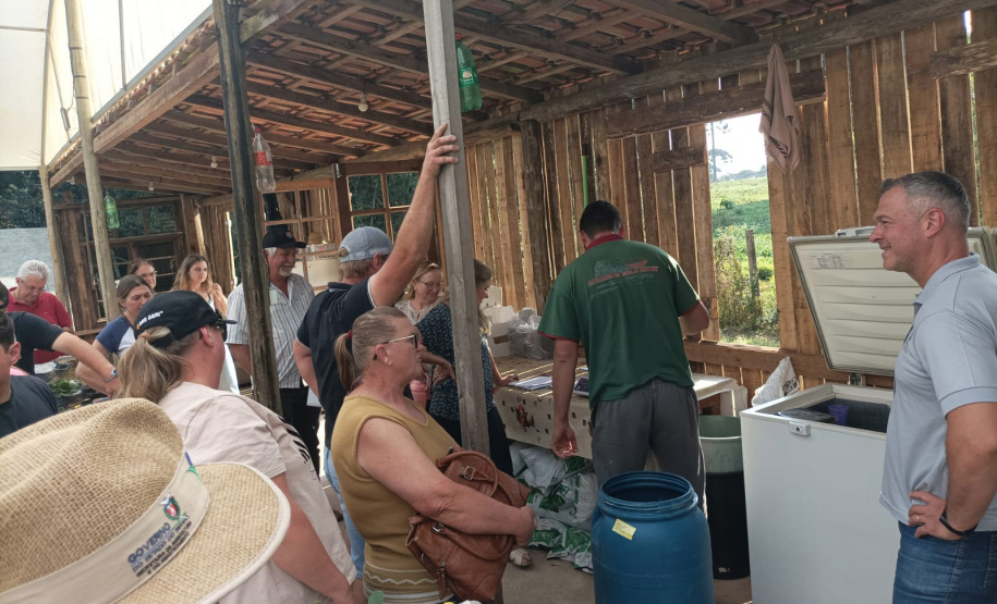 Treino visita para o cultivo de morango dá bons resultados na Região Metropolitana de Curitiba