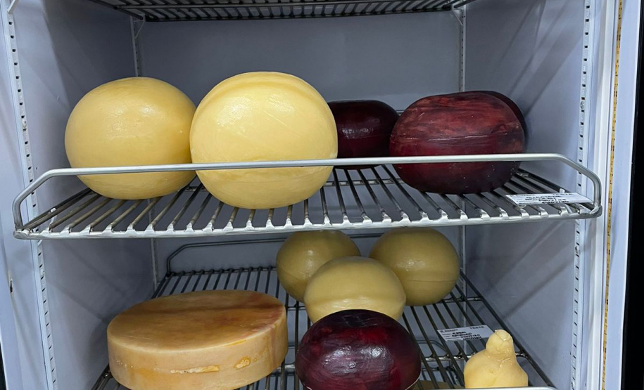 PROGRAMA QUEIJOS NOBRES