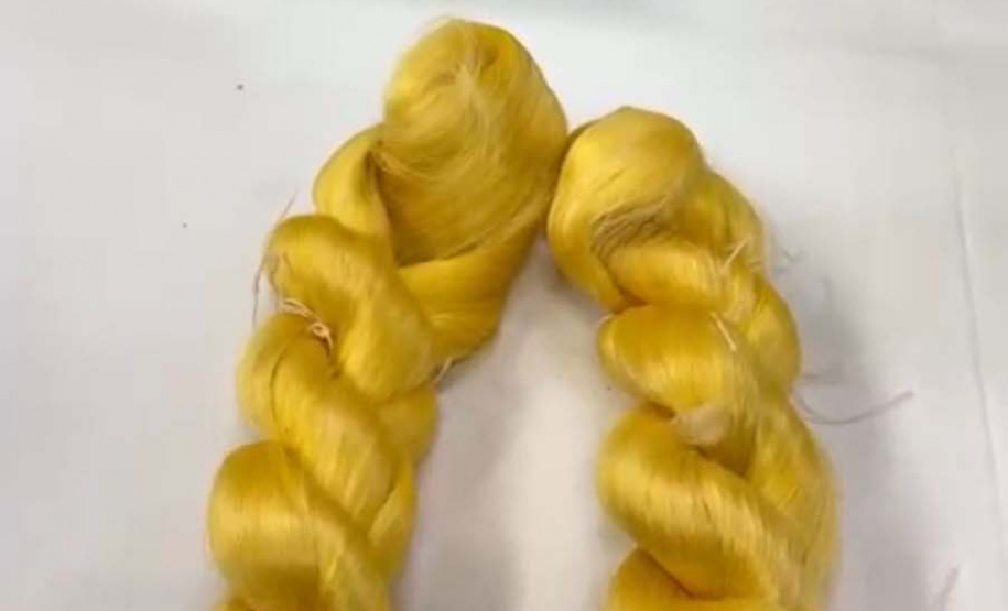 Paraná firma parceria com associação indiana para desenvolvimento da sericultura