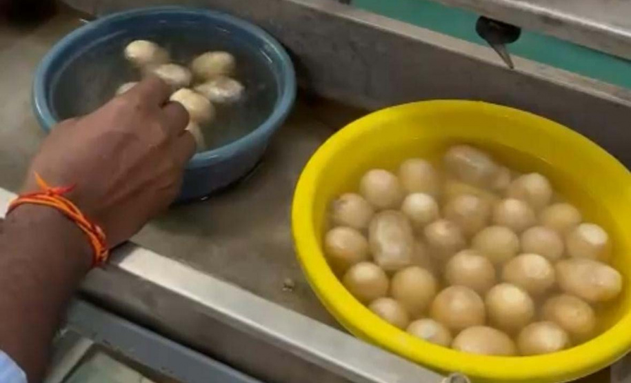 Paraná firma parceria com associação indiana para desenvolvimento da sericultura