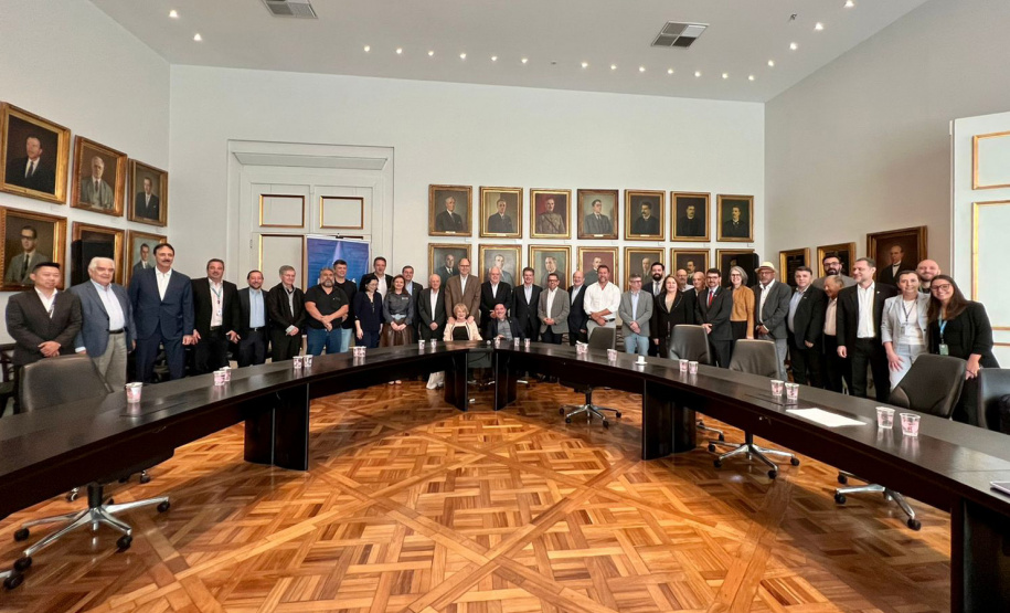 INOVAÇÃO Governança SPI