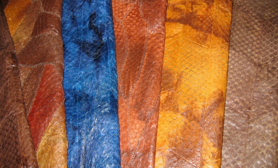 Tilápia vira vestuário, material hospitalar e suplemento alimentício em laboratório da UEM