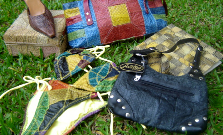 Tilápia vira vestuário, material hospitalar e suplemento alimentício em laboratório da UEM