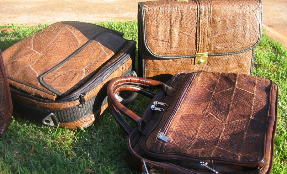 Tilápia vira vestuário, material hospitalar e suplemento alimentício em laboratório da UEM