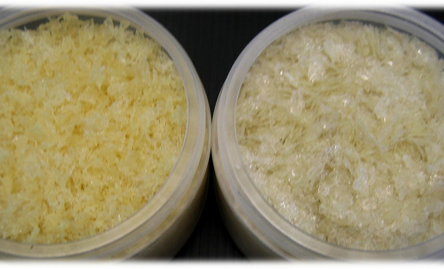 olágeno extraído da pele de tilápia