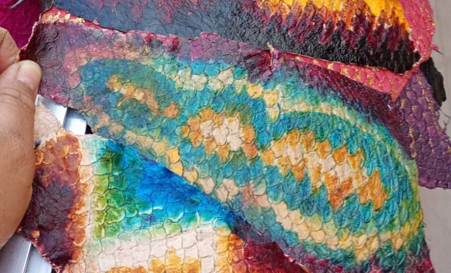 Tilápia vira vestuário, material hospitalar e suplemento alimentício em laboratório da UEM