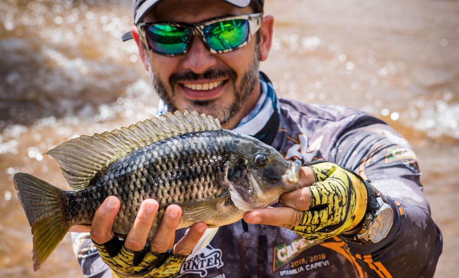 Novo ciclo do projeto Rio Vivo vai soltar 2,6 milhões de peixes nativos nas bacias do Paraná a partir deste mês