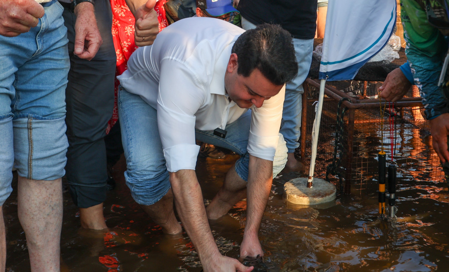 Novo ciclo do projeto Rio Vivo vai soltar 2,6 milhões de peixes nativos nas bacias do Paraná a partir deste mês