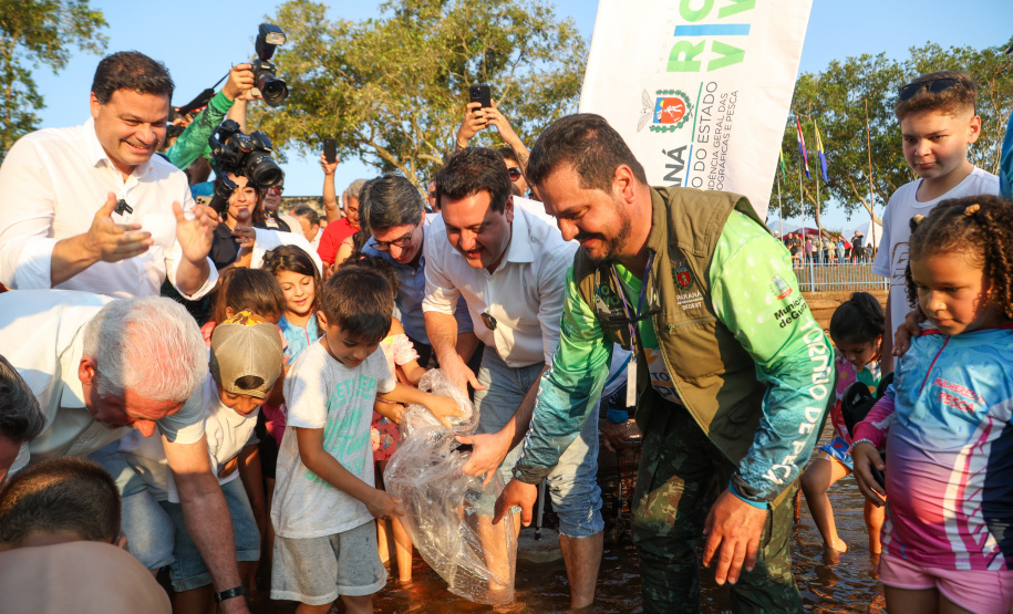 Novo ciclo do projeto Rio Vivo vai soltar 2,6 milhões de peixes nativos nas bacias do Paraná a partir deste mês