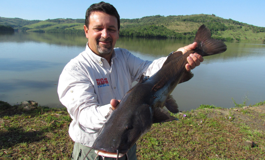Novo ciclo do Rio Vivo vai soltar 2,6 milhões de peixes nativos nas bacias do Paraná