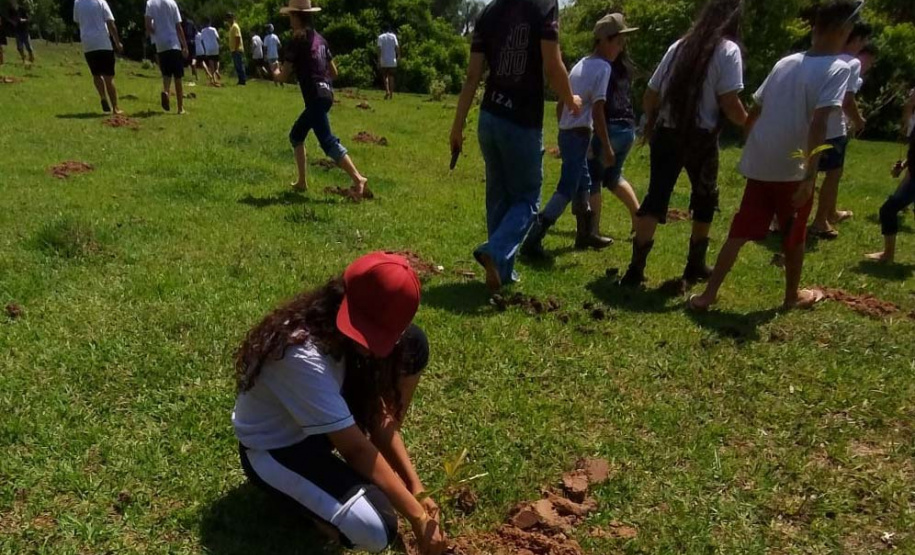 Ações elaboradas pelo IAT no Estado recuperaram mais de 6 hectares de mata ciliar em Áreas de Proteção Ambiental (APP)
