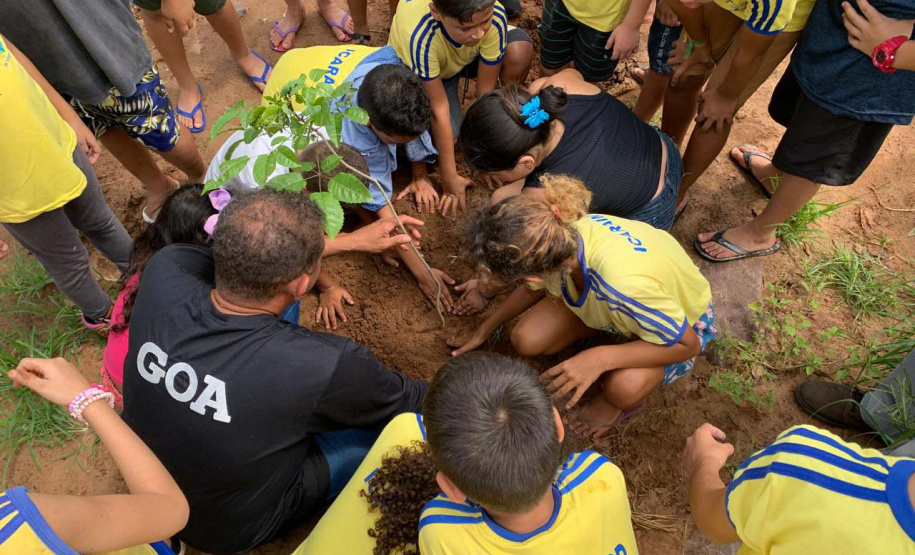 Ações elaboradas pelo IAT no Estado recuperaram mais de 6 hectares de mata ciliar em Áreas de Proteção Ambiental (APP)