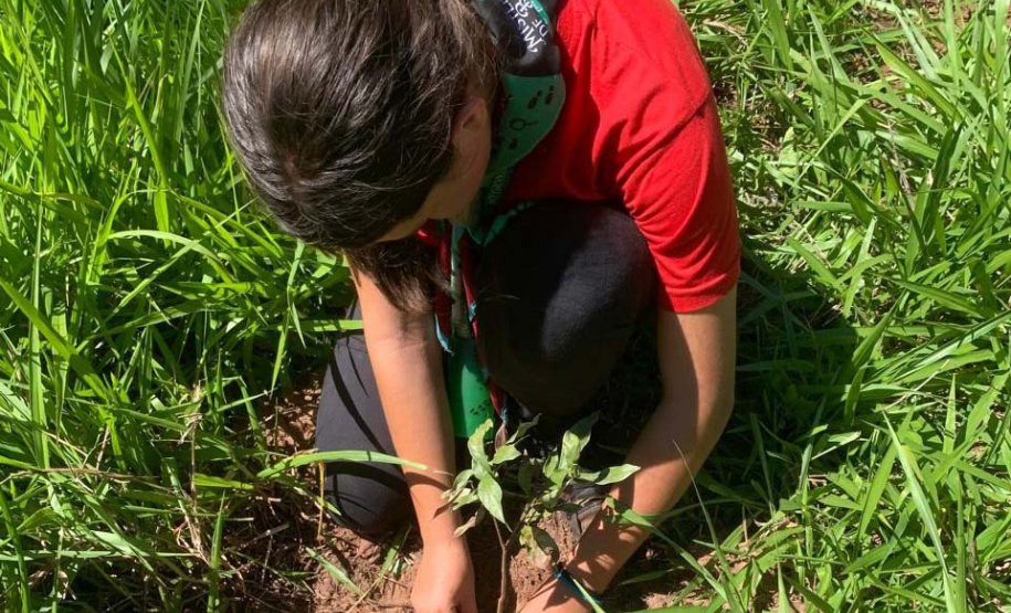 Ações elaboradas pelo IAT no Estado recuperaram mais de 6 hectares de mata ciliar em Áreas de Proteção Ambiental (APP)