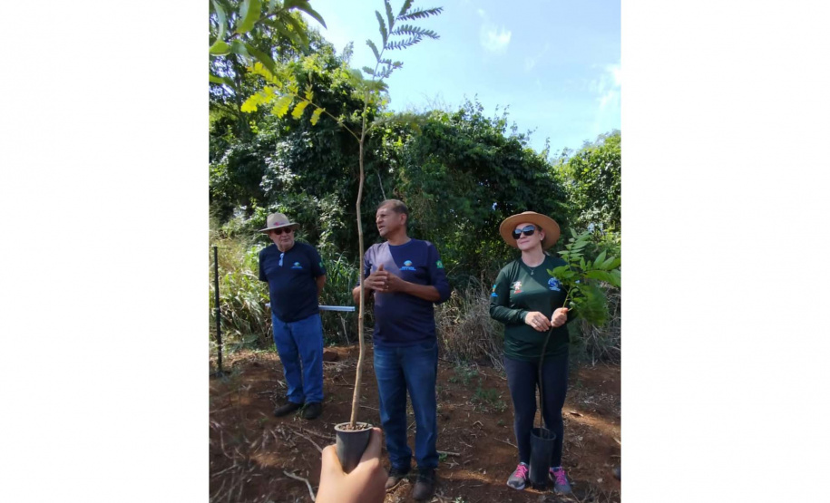 Ações elaboradas pelo IAT no Estado recuperaram mais de 6 hectares de mata ciliar em Áreas de Proteção Ambiental (APP)