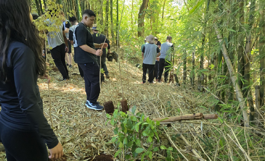 Jovens participam de ação de proteção da nascente do São Lourenço