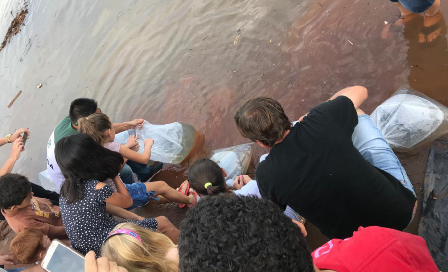 Novo ciclo do Rio Vivo vai soltar 2,6 milhões de peixes nativos nas bacias do Paraná