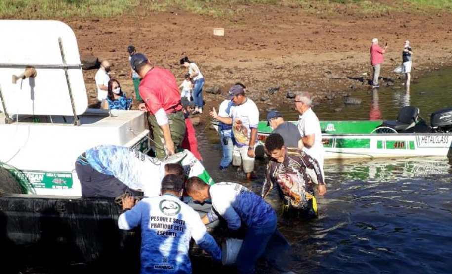 Novo ciclo do Rio Vivo vai soltar 2,6 milhões de peixes nativos nas bacias do Paraná