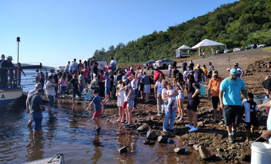 Novo ciclo do Rio Vivo vai soltar 2,6 milhões de peixes nativos nas bacias do Paraná