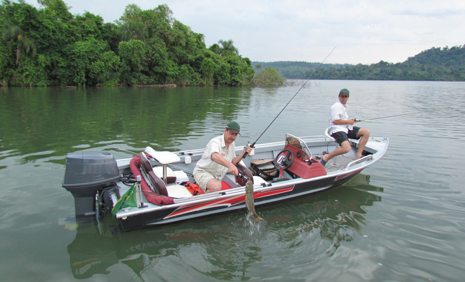 Novo ciclo do Rio Vivo vai soltar 2,6 milhões de peixes nativos nas bacias do Paraná
