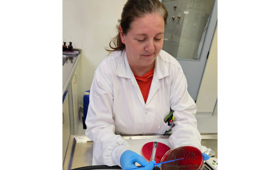 SESA Doenças do estômago e intestino já afetou mais de 389 mil paranaenses este ano