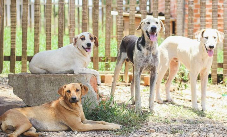 Nota Paraná entrega prêmios de R$ 5.000 para entidades de 21 cidades