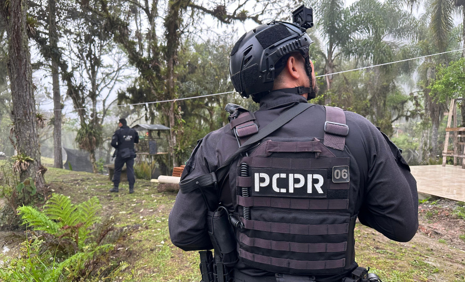 PCPR prende 12 pessoas em operação contra o tráfico de drogas em quatro cidades do Paraná