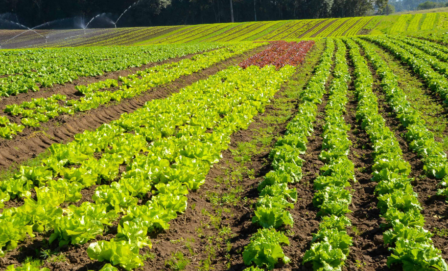 Prêmio Orgulho da Terra homenageia os 19 vencedores de 2024