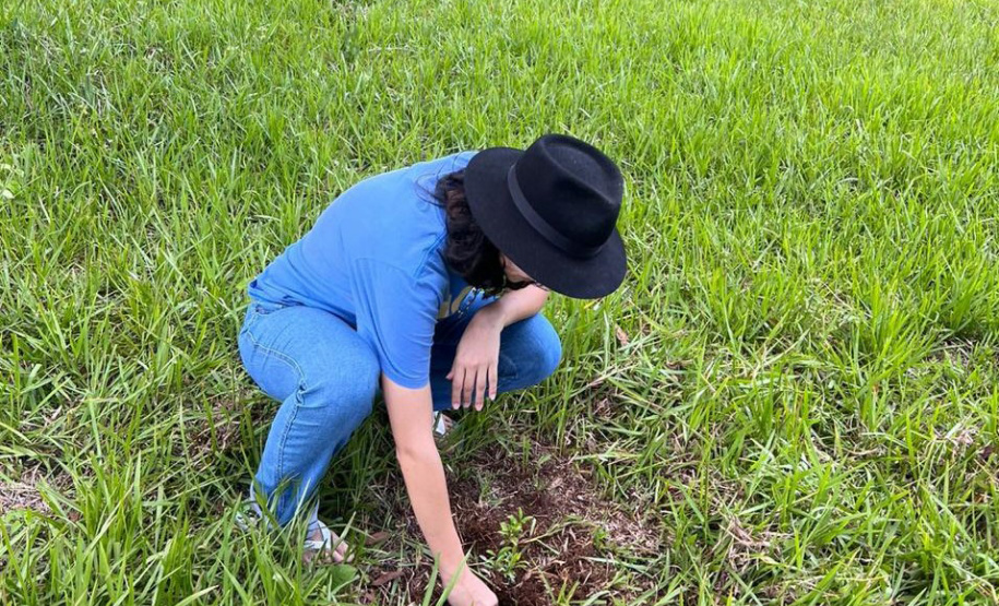 IAT vai recuperar quatro hectares de mata ciliar para comemorar o Dia do Rio