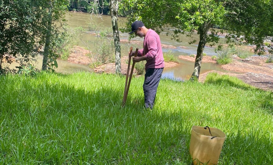 IAT vai recuperar quatro hectares de mata ciliar para comemorar o Dia do Rio