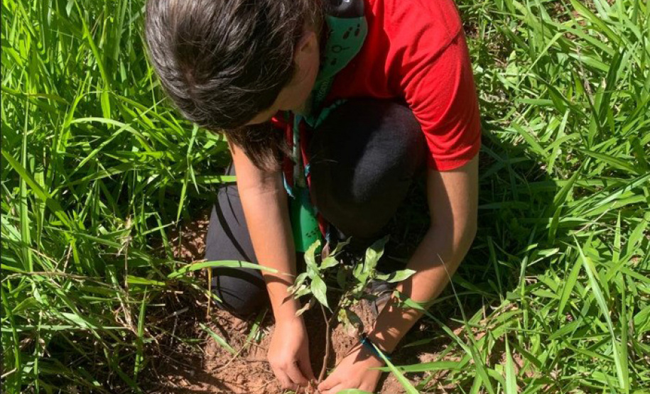 IAT vai recuperar quatro hectares de mata ciliar para comemorar o Dia do Rio
