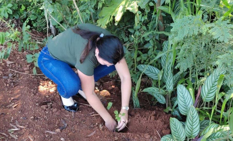 IAT vai recuperar quatro hectares de mata ciliar para comemorar o Dia do Rio