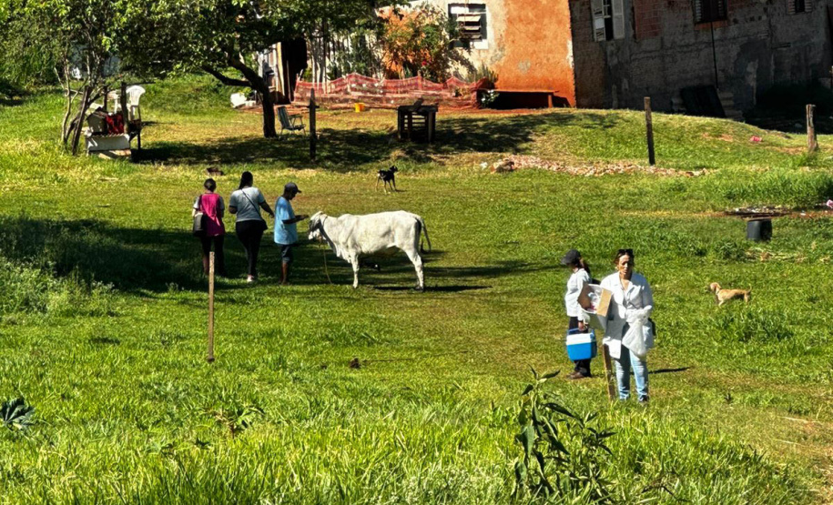 Secretaria da Saúde realiza ações para investigação de casos de Febre do Nilo