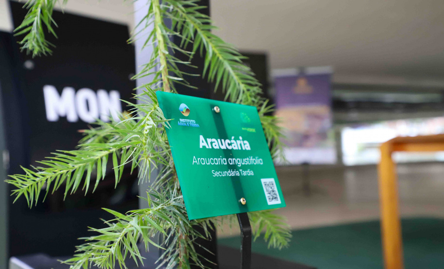 IAT EVENTO MEIO AMBIENTE MON