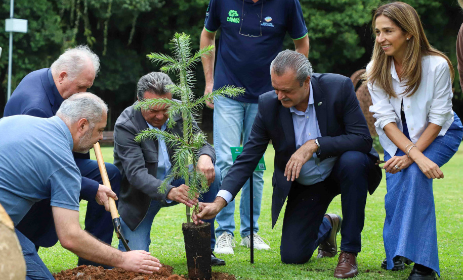 IAT EVENTO MEIO AMBIENTE MON