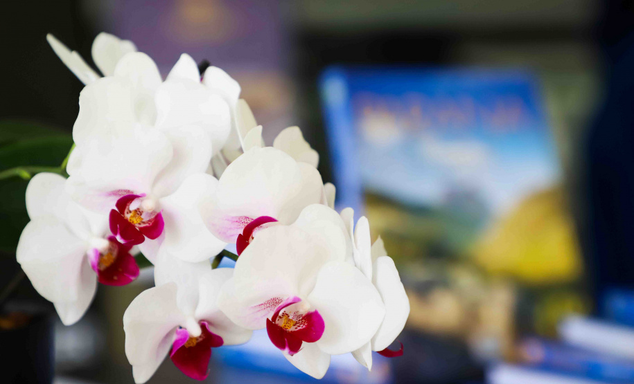 IAT EVENTO MEIO AMBIENTE MON