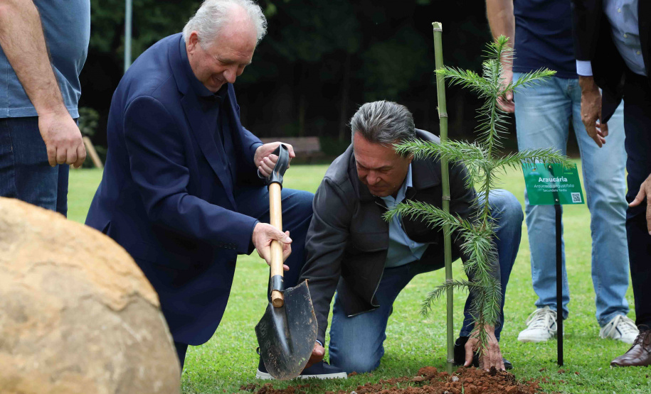 IAT EVENTO MEIO AMBIENTE MON