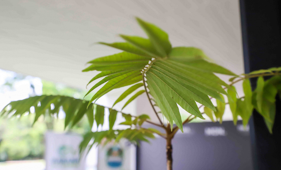 IAT EVENTO MEIO AMBIENTE MON