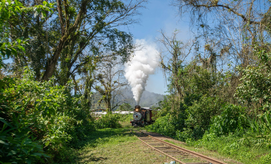 Gastronomia típica, música e cultura: Novo passeio de trem é opção turística para o verão paranaense