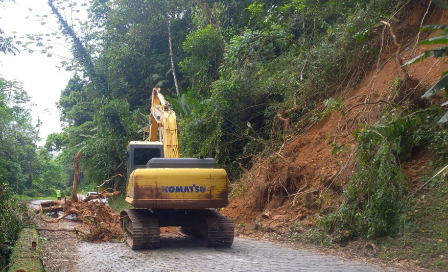 DER Graciosa retirada de raízes