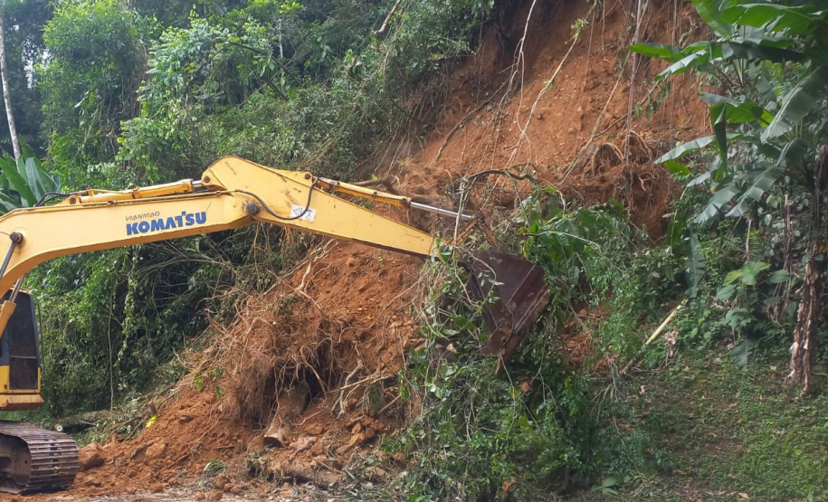DER Graciosa retirada de raízes