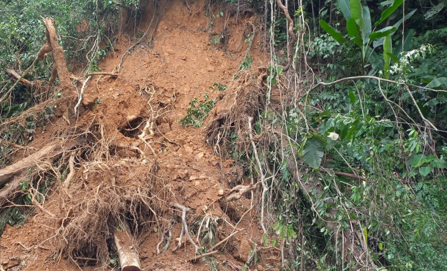DER Graciosa retirada de raízes